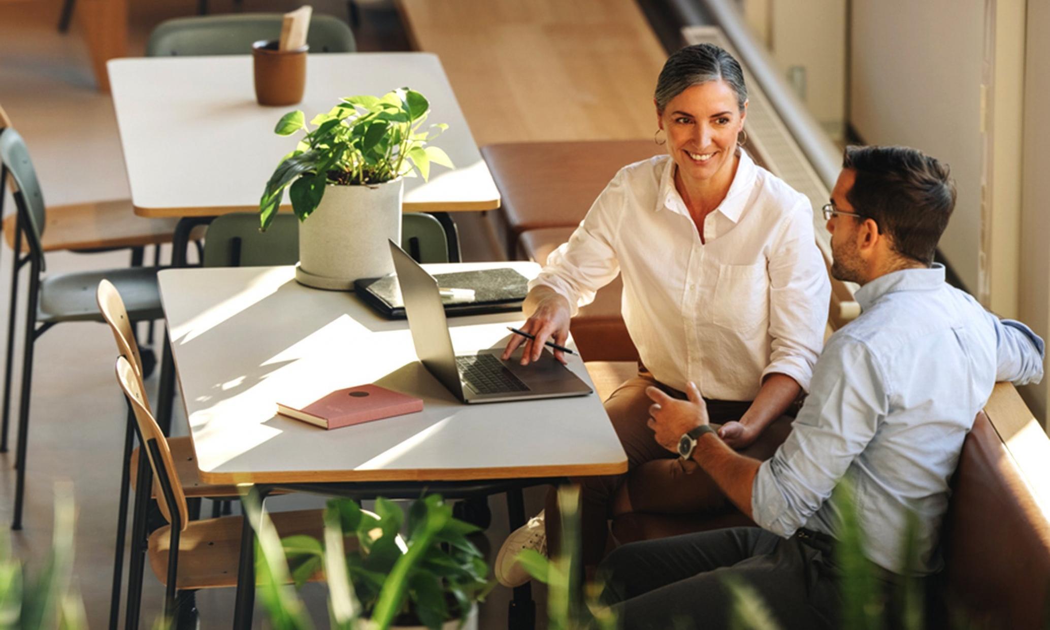 Síťování a profesionální kontakty